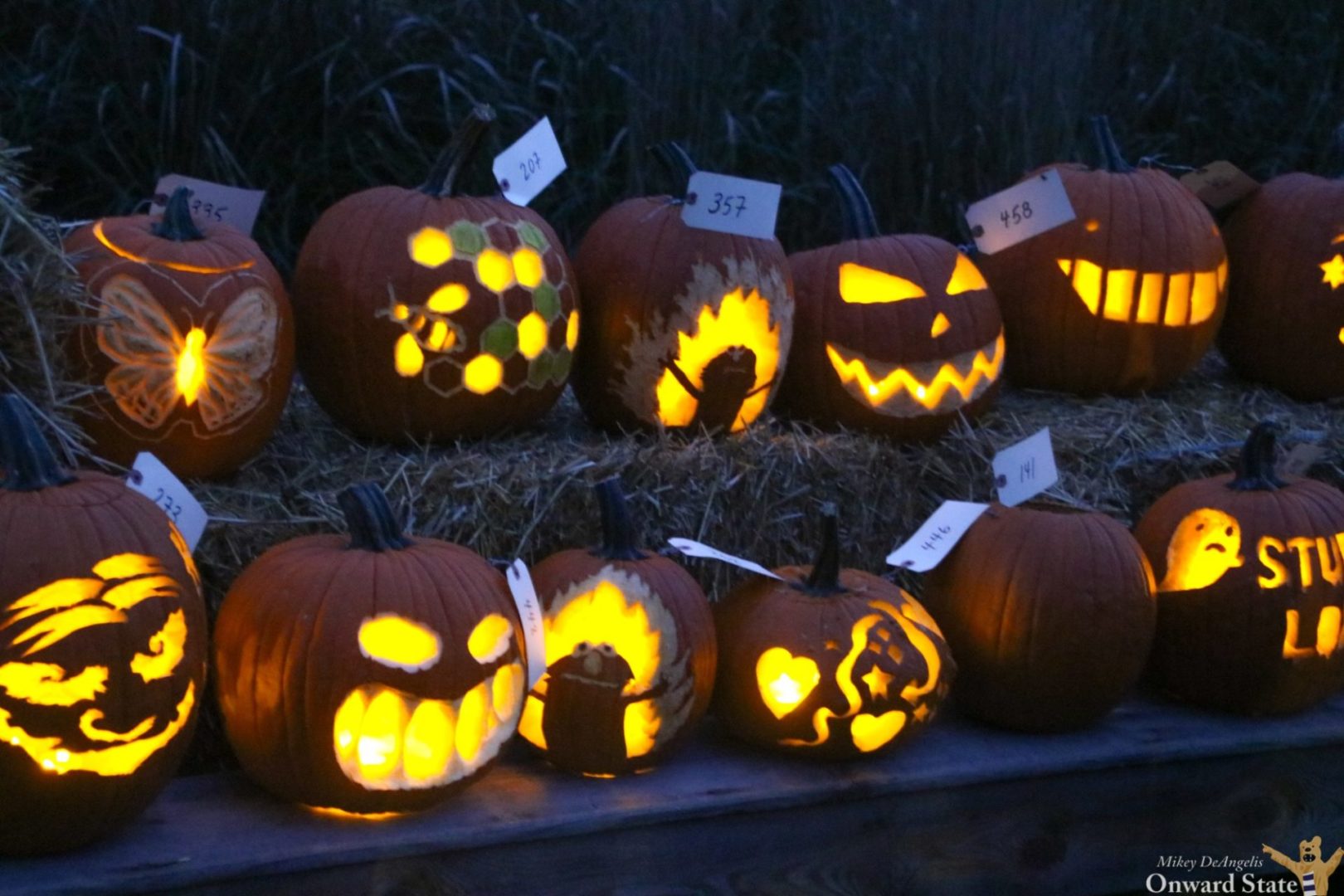 State College - pumpkin festival 2021 mikey deangelis