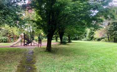 Improvement Project Moving Forward for Two State College Neighborhood Parks