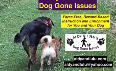 Aldy & LuLu’s Dog Gone Issues