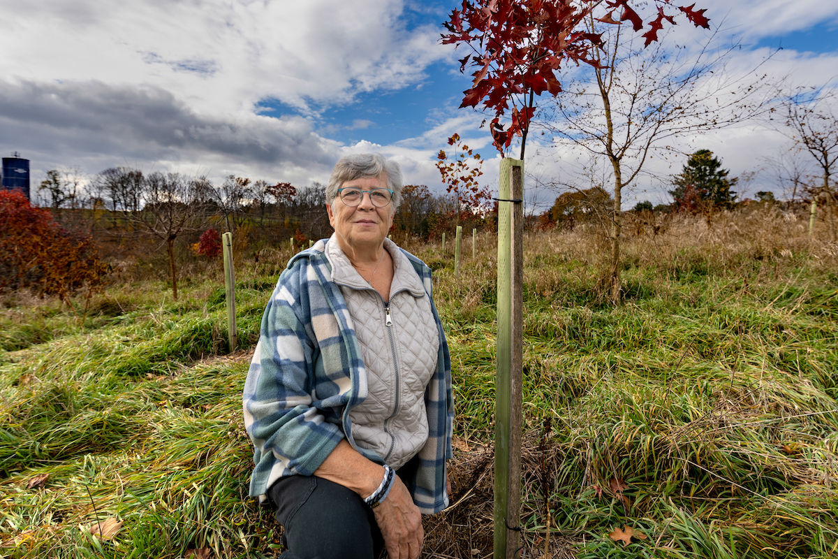 State College - Rosemarie Stover 5 by David Silber