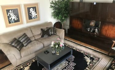 State College - VHlivingroom