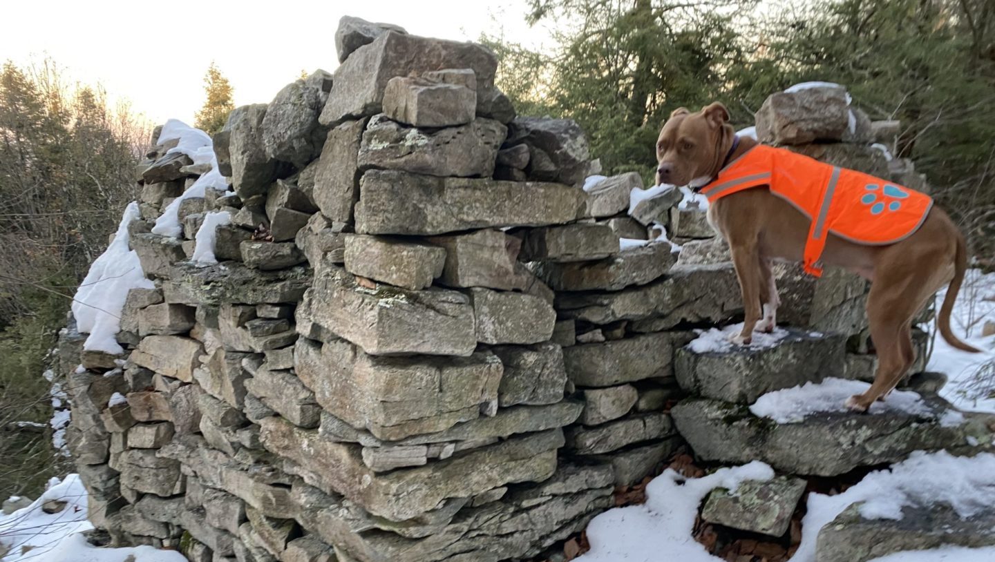 Centre of Adventure: Exploring Shingletown Gap and the Famous Roman Tower