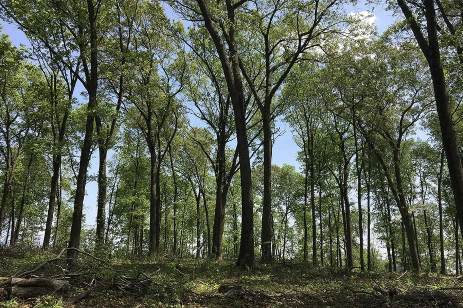 Forest Landowners Conference in State College, PA | Event Calendar |  StateCollege.com