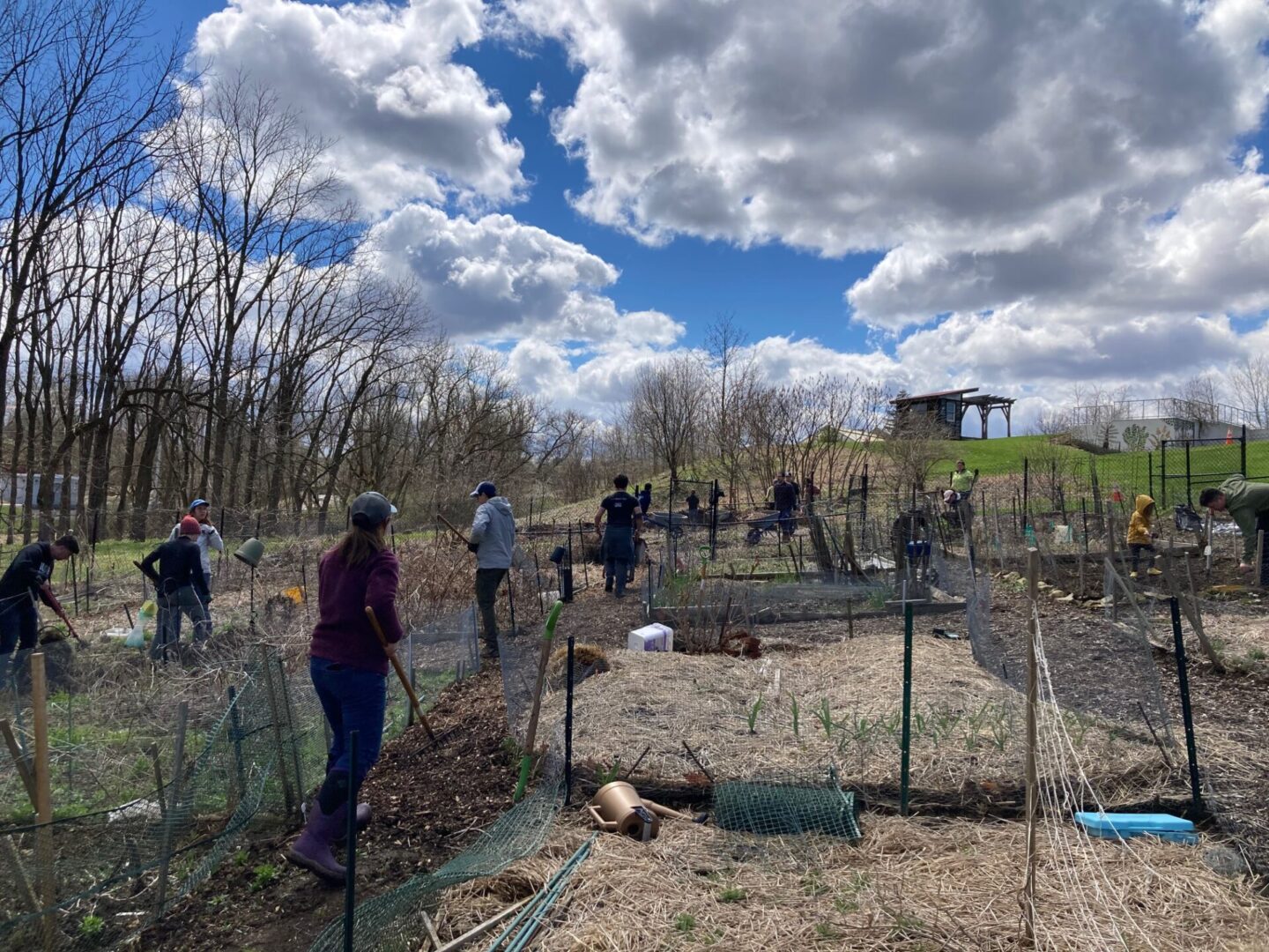 State College - 2022 Pathway improvement work adding wood chips to paths in Penn State Community Garden by Jonathan Balog