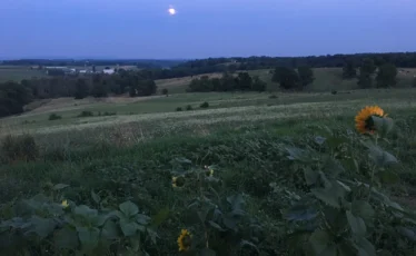 State College - Painted Hand