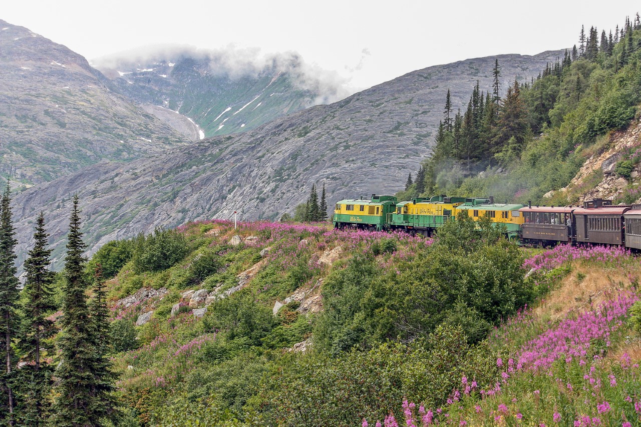 State College - Photo 4