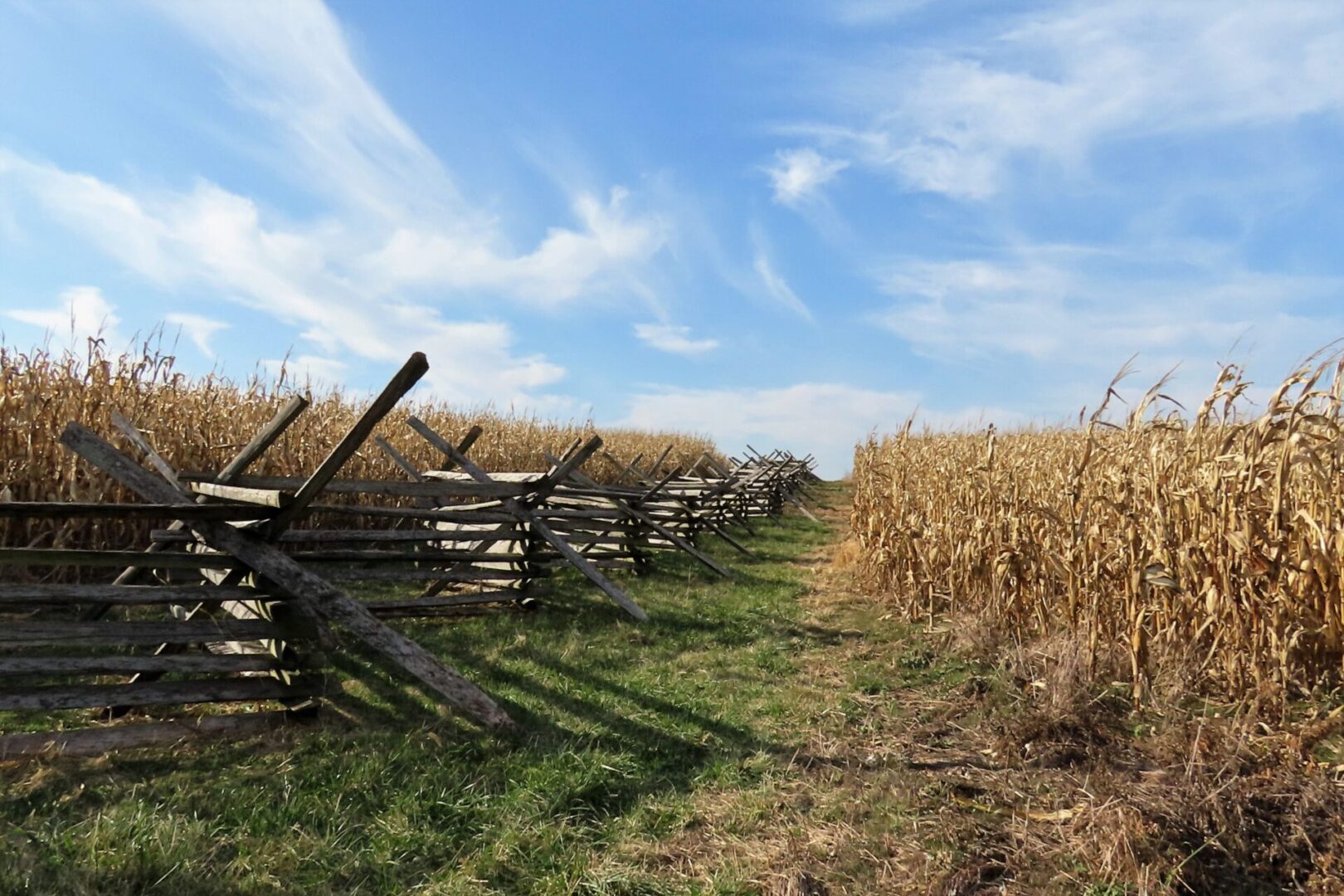 State College - gettysburg fence credit don nigroni