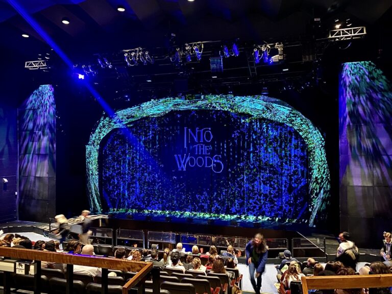 Centre Stage Performance of ‘Into the Woods’ Explores Beyond Happily Ever After