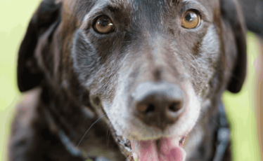 State College - stuffi-beach