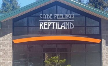 State College - Clyde Peeling
