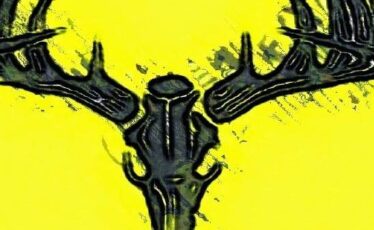 State College - Kettone