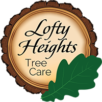 State College - Lofty