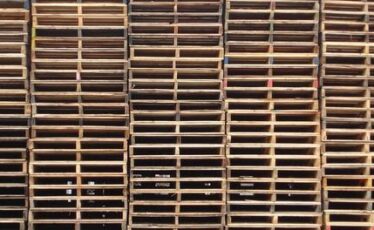 State College - Pallet