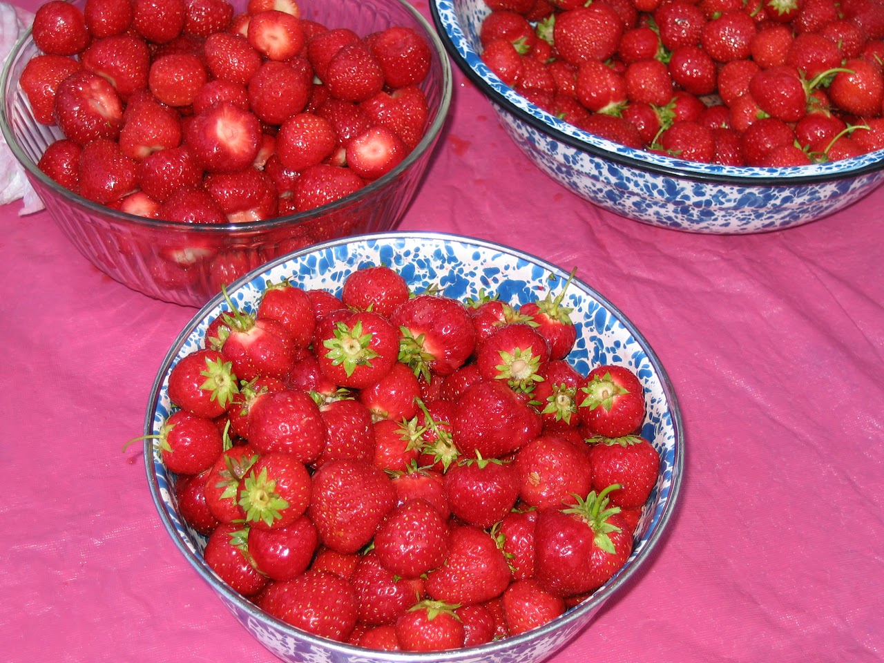 41st Annual Lemont Strawberry Festival - Vimarsana News