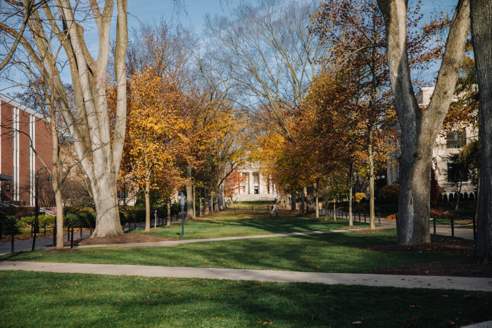 State College - pattee lawn credit Georgianna Sutherlandjpeg
