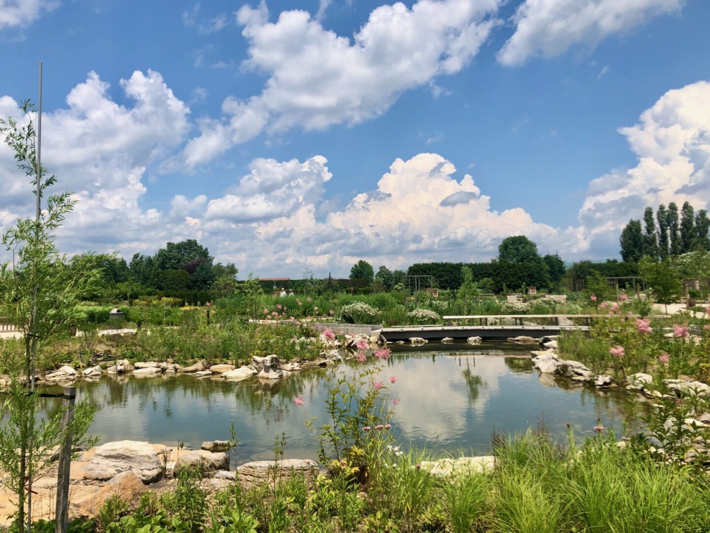 State College - Arboretum-pollinator-and-bird-garden
