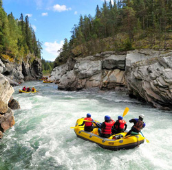 State College - Cecil-Tickamyer