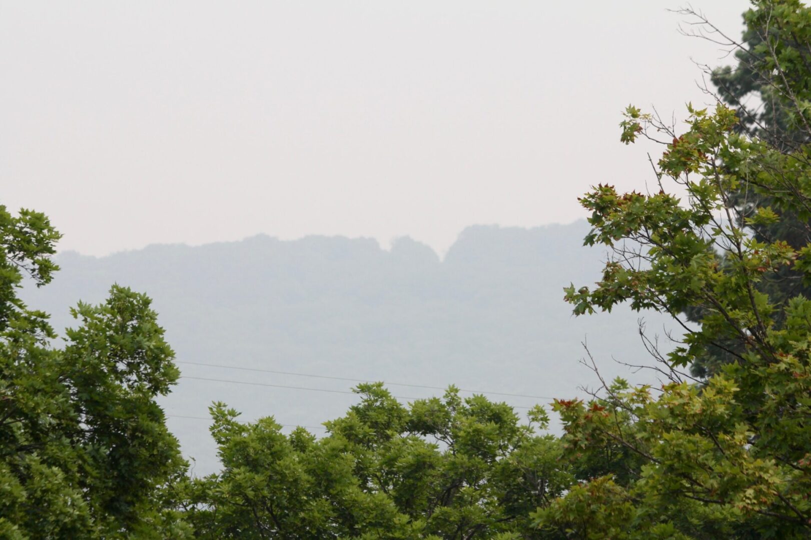 State College - smoky mountain 6-7-23