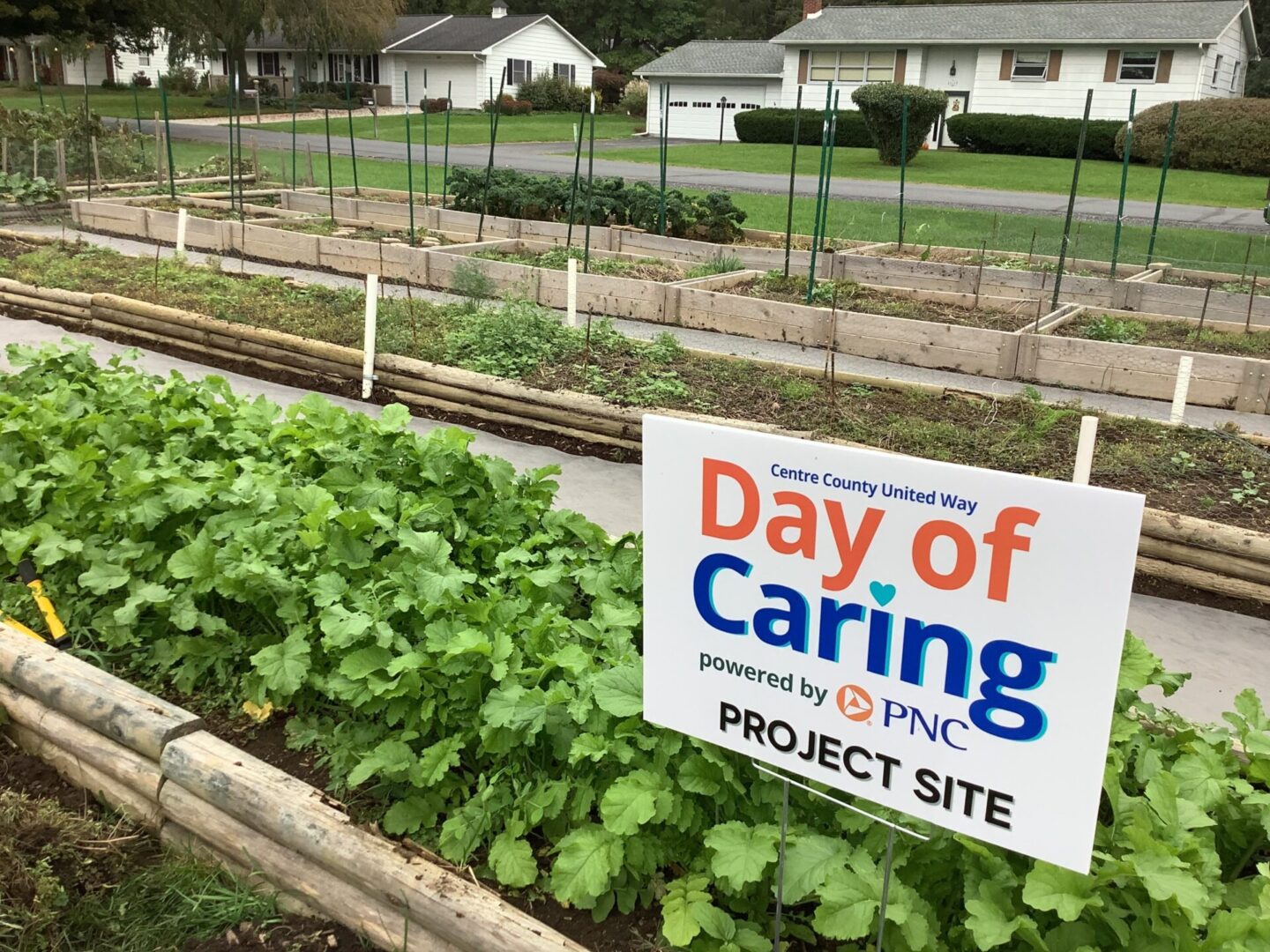 State College - Day of Caring Giving Garden.3