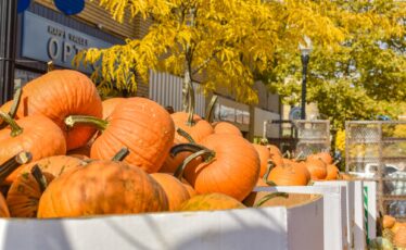 Downtown State College Fall Festival to Offer a Day of Autumn Fun