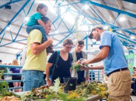 Great Insect Fair Returns for First Time Since 2019