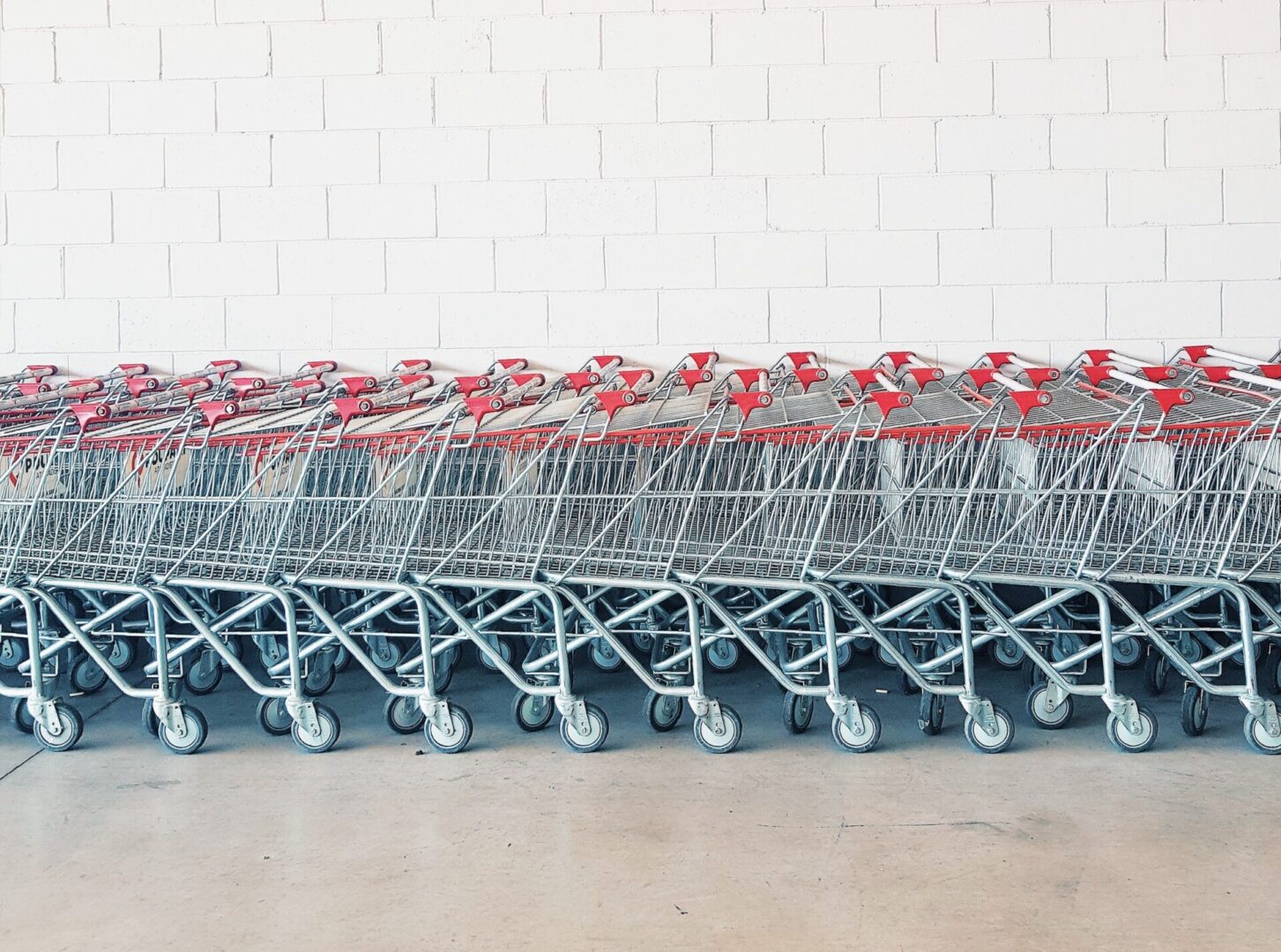 State College - shopping carts gabrielle-ribeiro-EDztlsQAEIY-unsplash