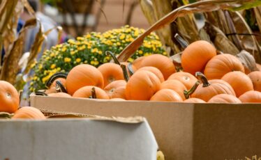 Downtown State College Hosts Annual Fall Festival & Pop Up Ave