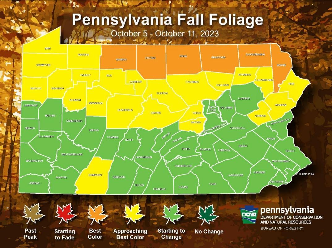 Peak fall colors are around the corner in central PA Centre County