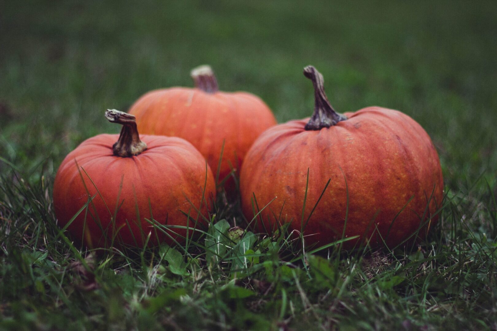 Fellowship of Churches to Hold ‘Light the Night’ Event in Walker Township