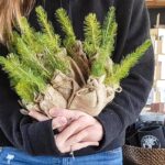 Making a Big Impact on Small Business Saturday