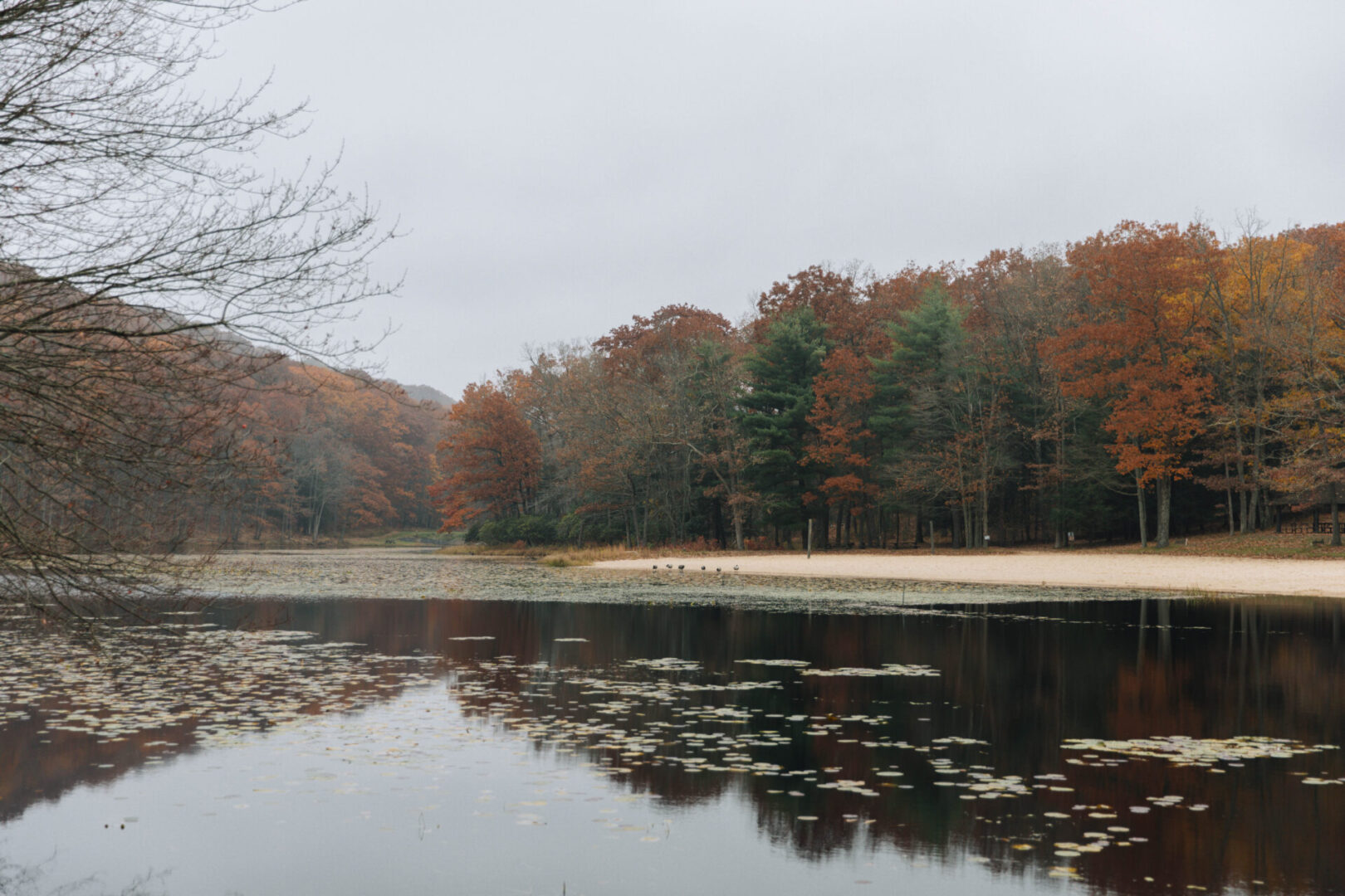 State College - Black Moshannon Lake