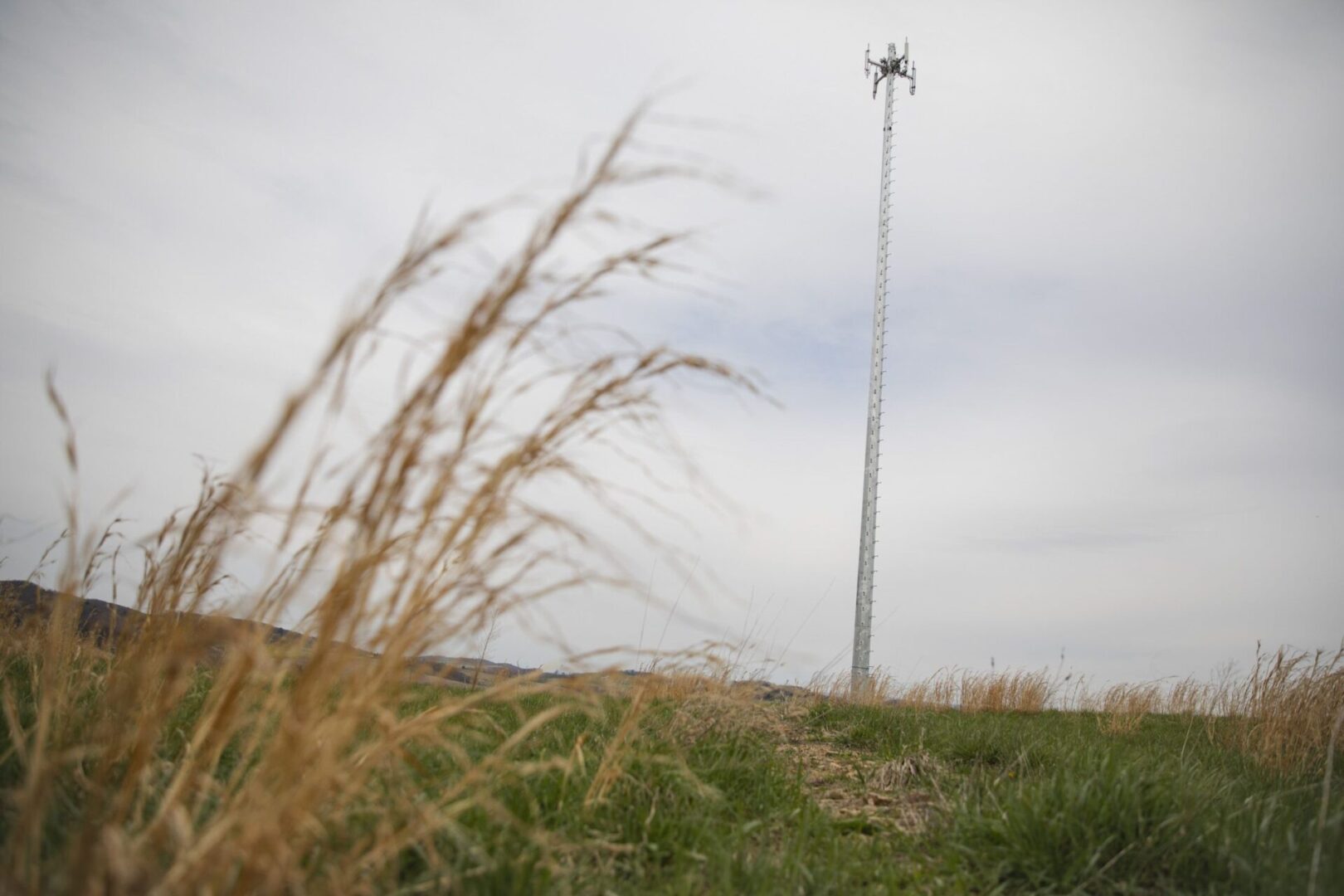 State College - communications tower amanda berg spotlight