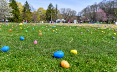 Egg Hunts and Easter Events 2024