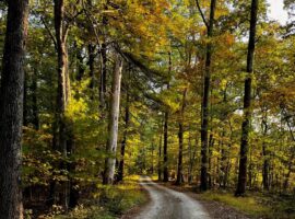 Discover Centre County’s Scenic Trails