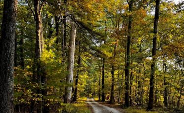 Discover Centre County’s Scenic Trails