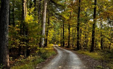 Discover Centre County’s scenic trails