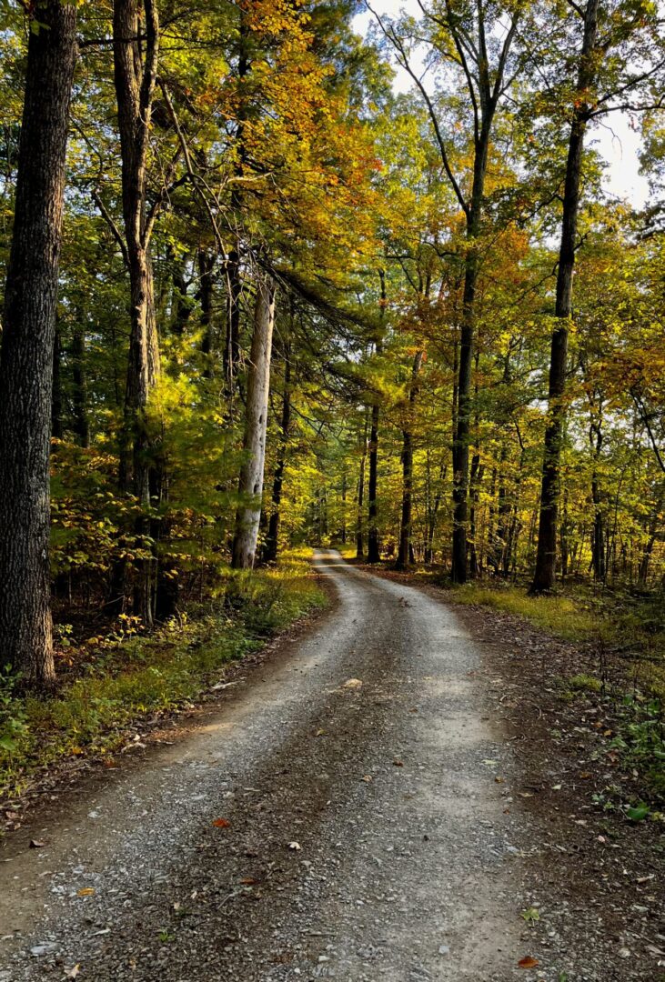 State College - Hikes1