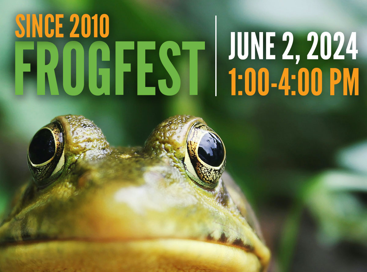 State College - FrogFest 2024