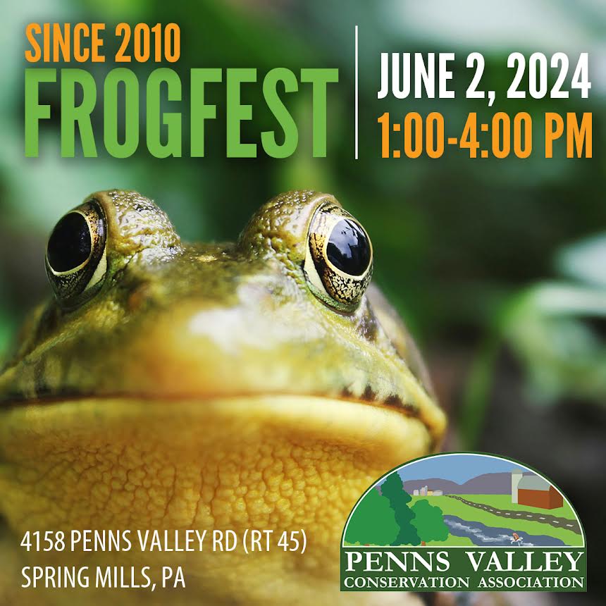 Hop on over to FrogFest 2024 | Centre County Gazette