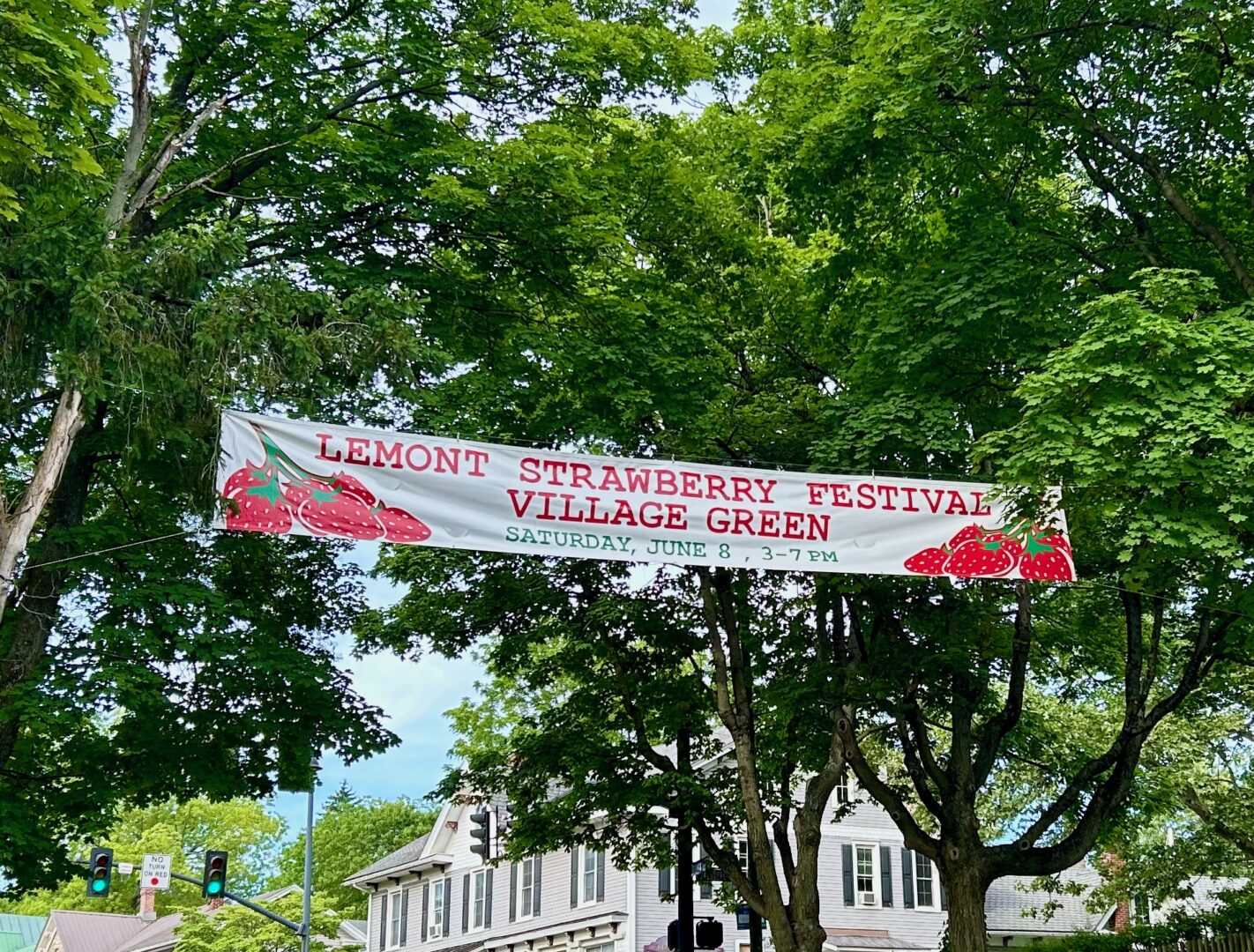 State College - lemont strawberry festival 2024