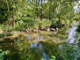 Gathering to heal in nature