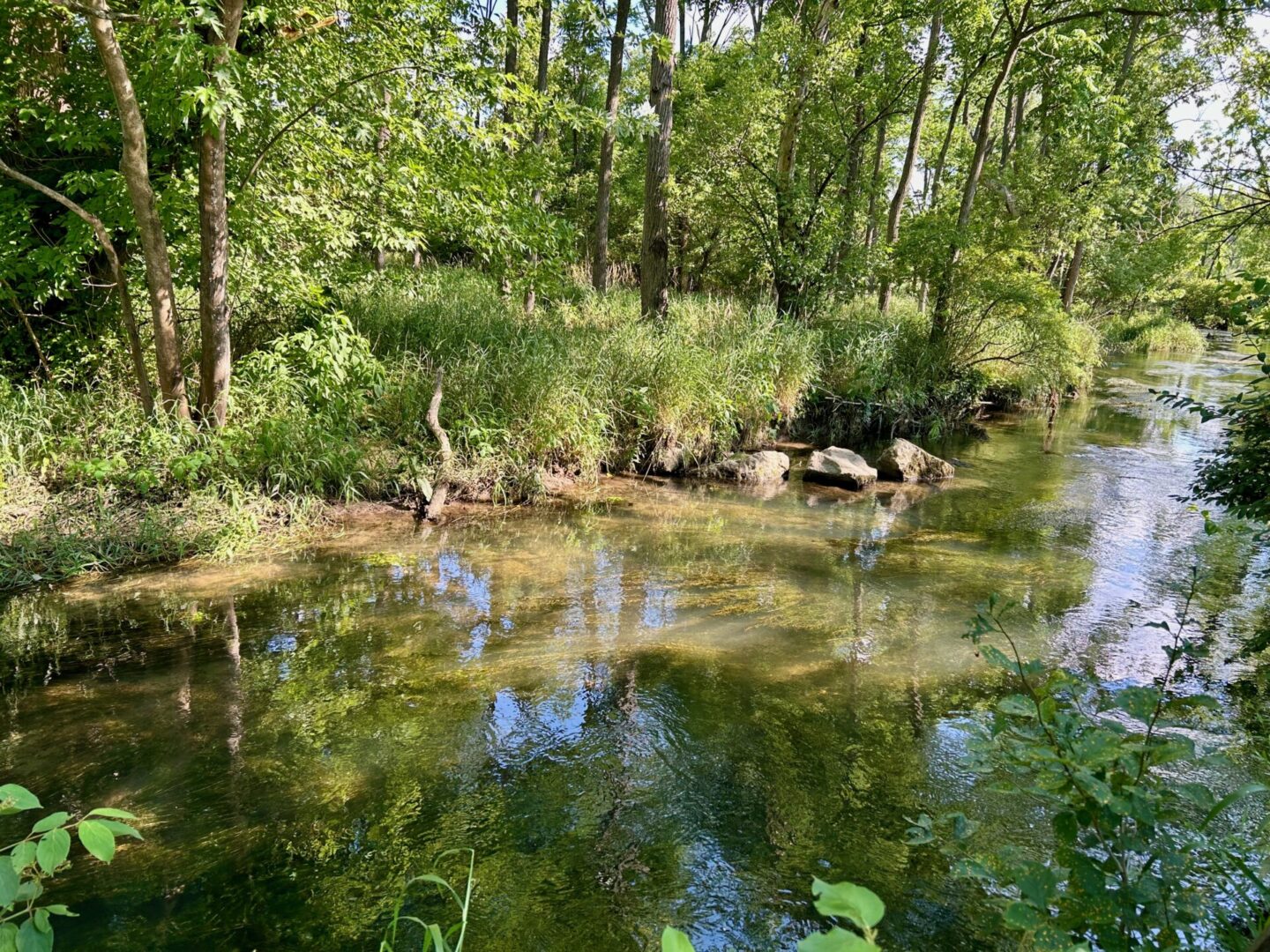 State College - slab cabin run millbrook marsh
