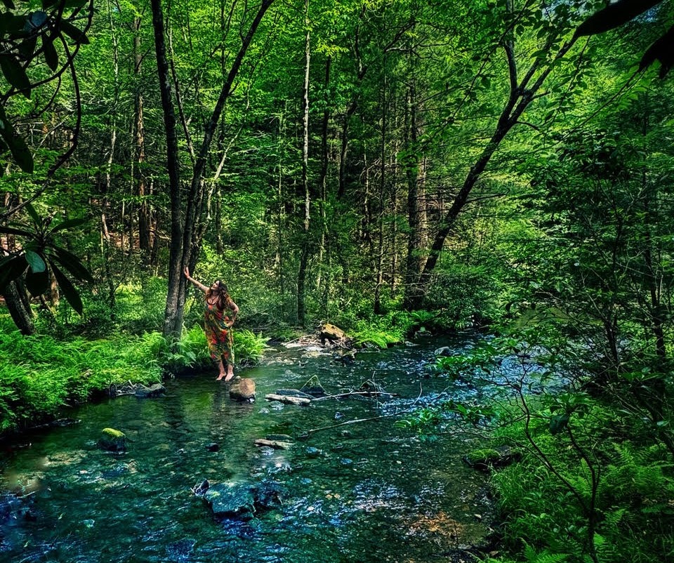State College - wellnessinthewild