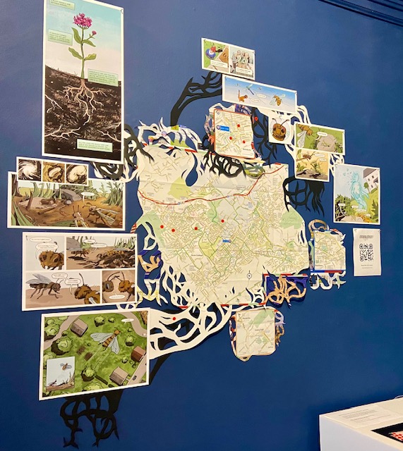 State College - IMG_2240