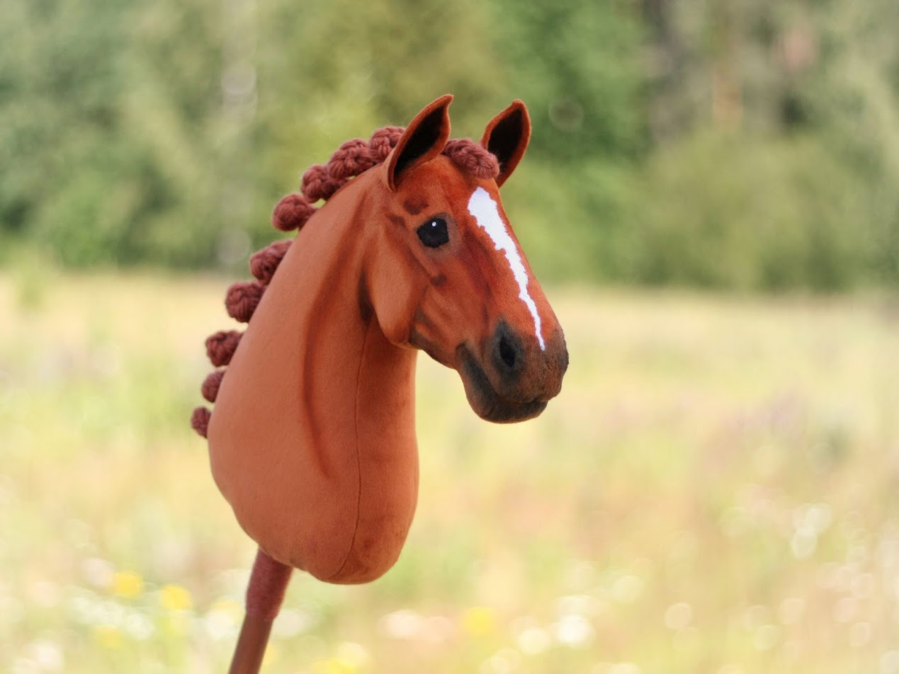 State College - hobby horse