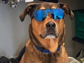 State College - battista 1 crop