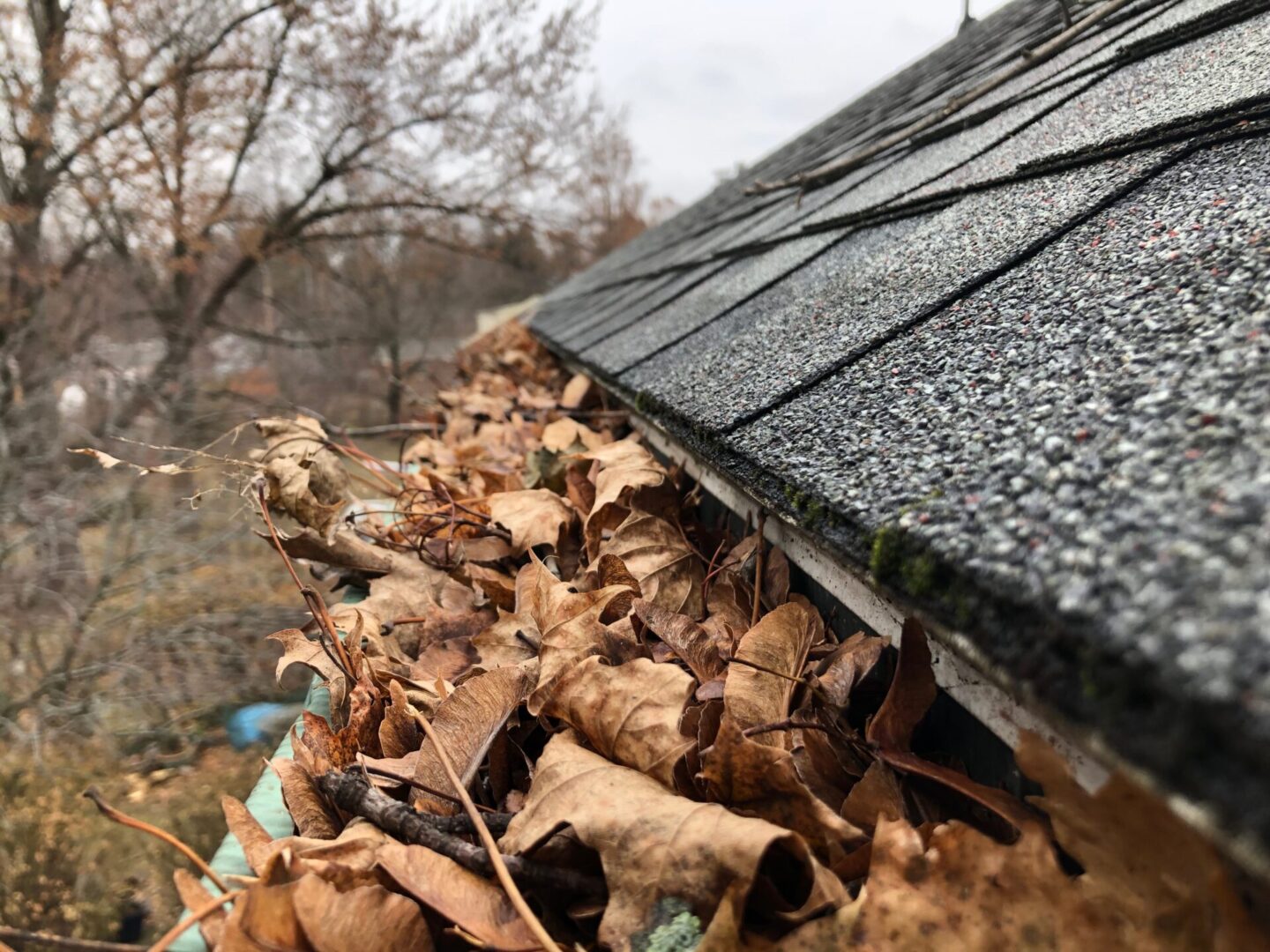 State College - gutters