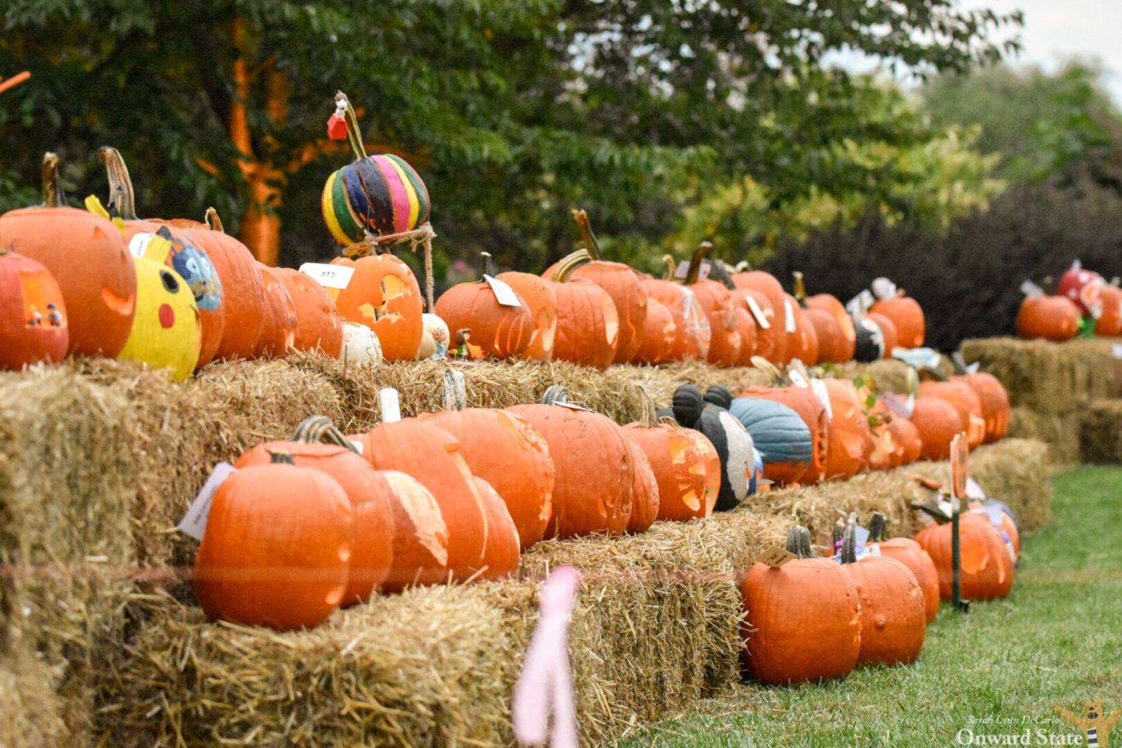 State College - Arboretum-Pumpkin-Festival_-5