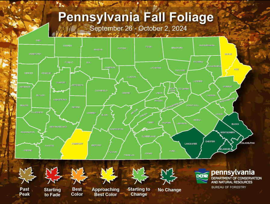 State College - FallFoliage1