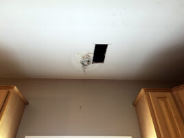 State College - Hook_10-15-24